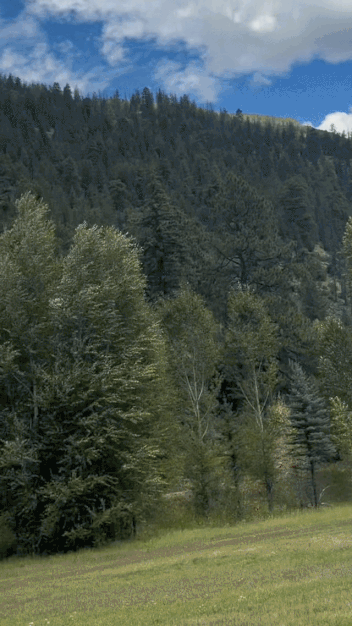 Animated clip of a grassy mountain airstrip bordered by pine forest.